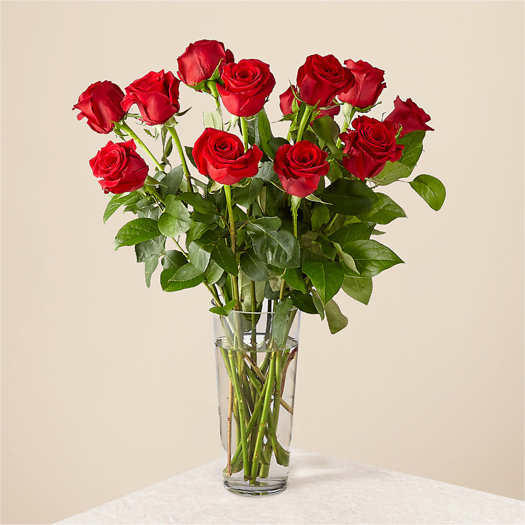 Long Stem Red Rose Bouquet – All Of The Good Flowers, Jackson NJ