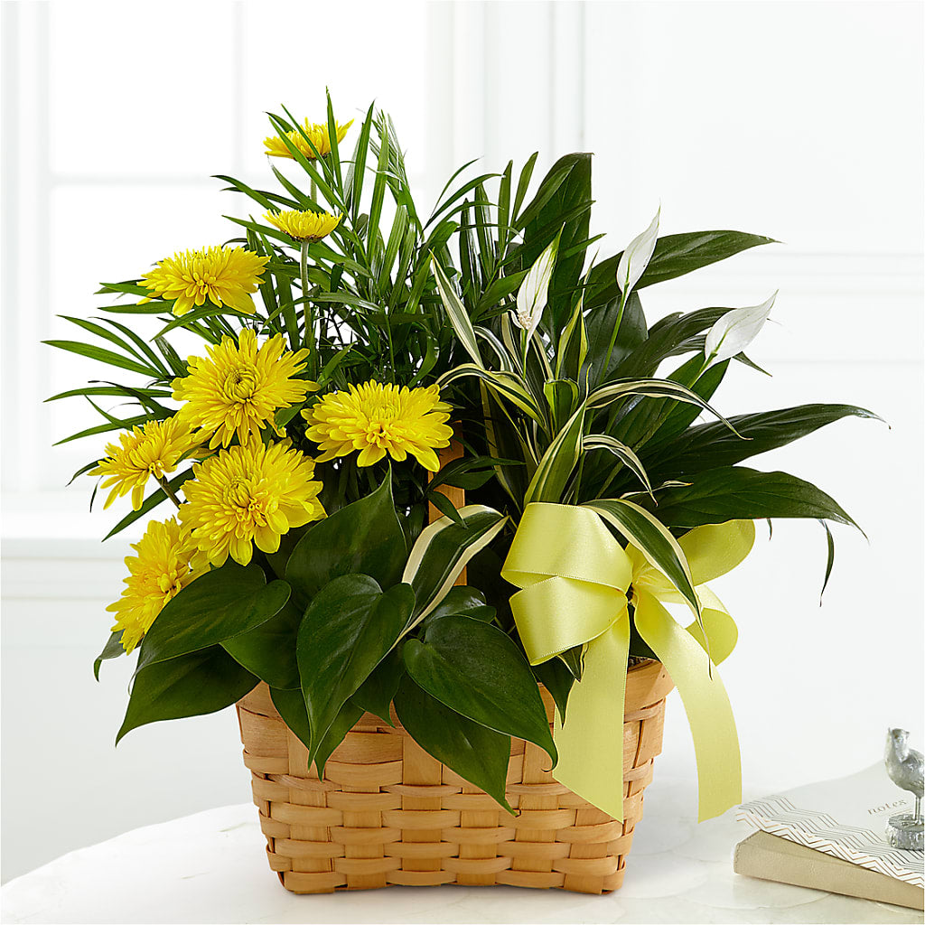 Loving Light Dishgarden – All Of The Good Flowers, Jackson NJ