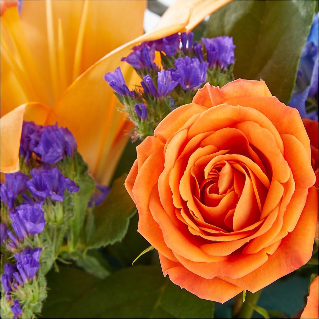 Radiant Citrus Box Bouquet – All Of The Good Flowers, Jackson NJ
