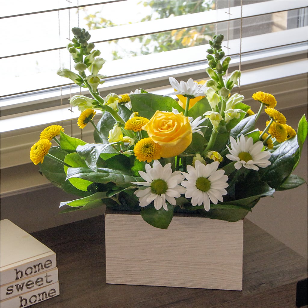 Sun Salutation Box Bouquet – All Of The Good Flowers, Jackson NJ