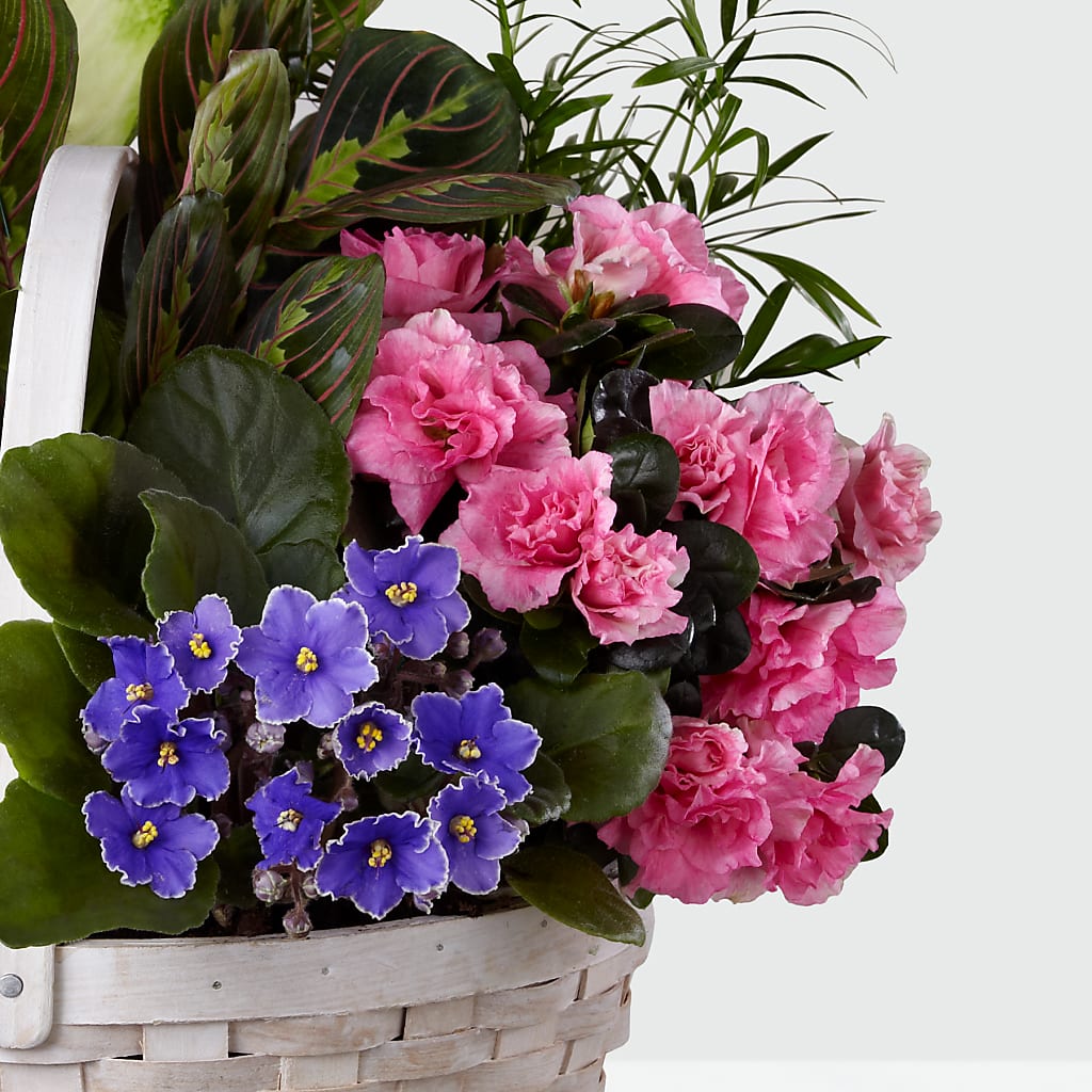 Peaceful Garden Planter – All Of The Good Flowers, Jackson NJ