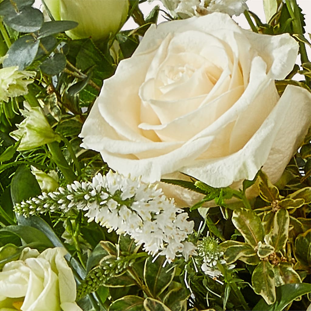 Cashmere Bouquet –  All Of The Good Flowers, Jackson NJ