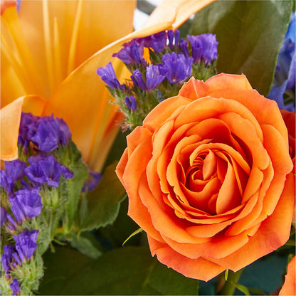 Radiant Citrus Box Bouquet –  All Of The Good Flowers, Jackson NJ