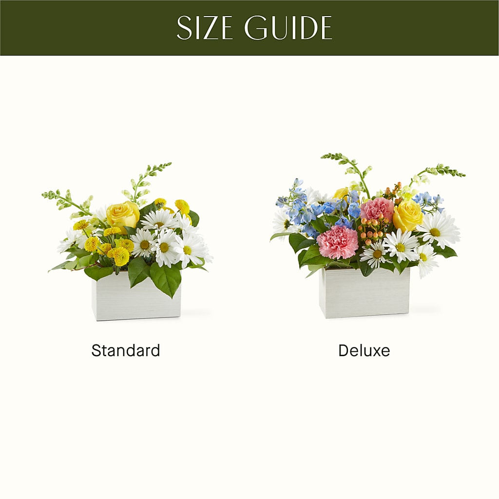 Sun Salutation Box Bouquet –  All Of The Good Flowers, Jackson NJ