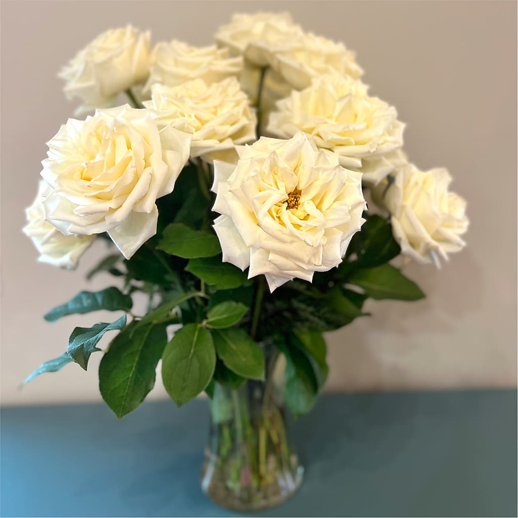 Long Stem Yellow Rose Bouquet –  All Of The Good Flowers, Jackson NJ
