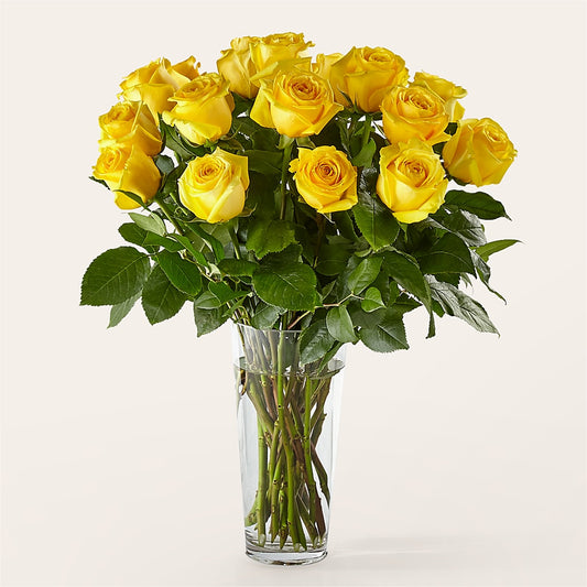 Long Stem Yellow Rose Bouquet –  All Of The Good Flowers, Jackson NJ