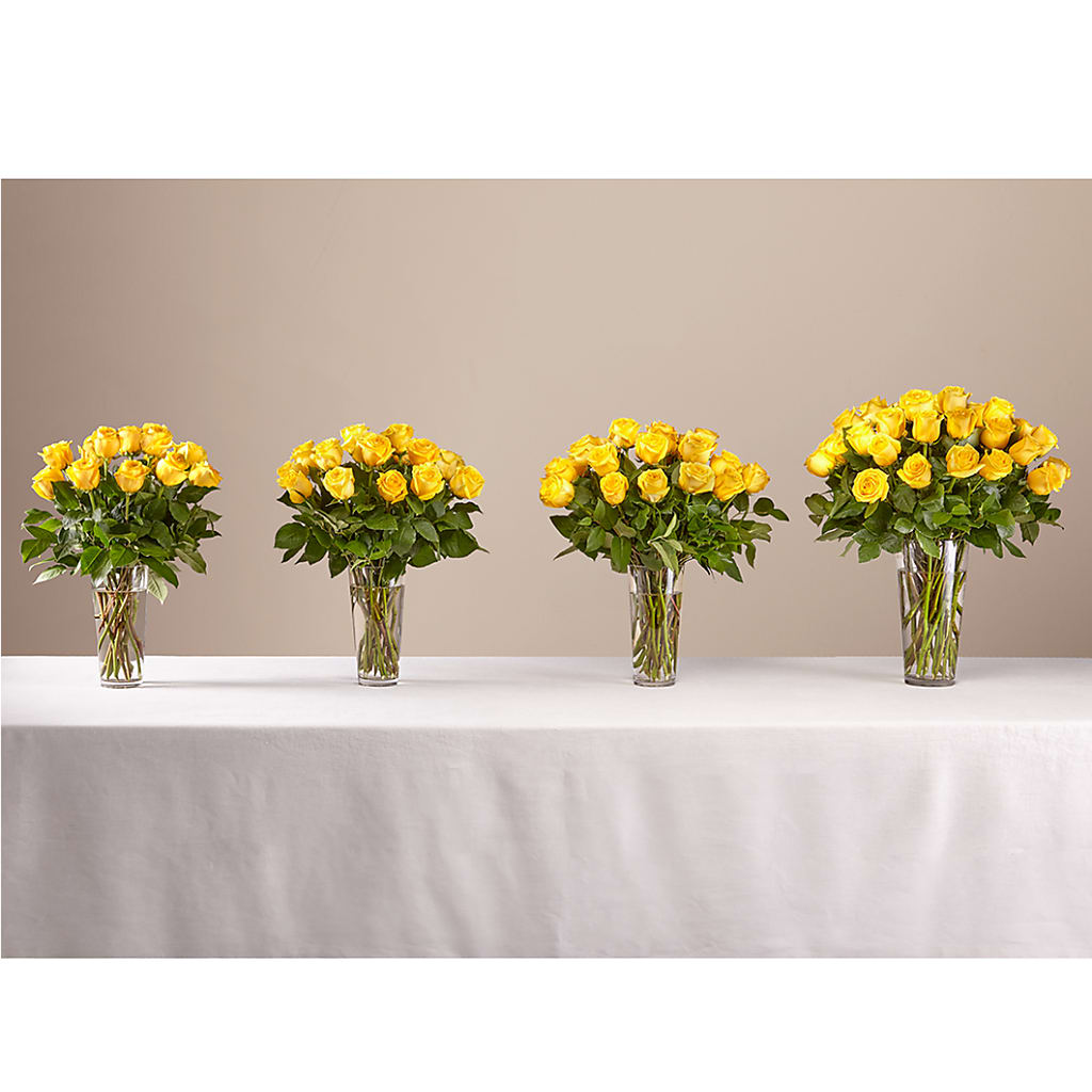 Long Stem Yellow Rose Bouquet –  All Of The Good Flowers, Jackson NJ