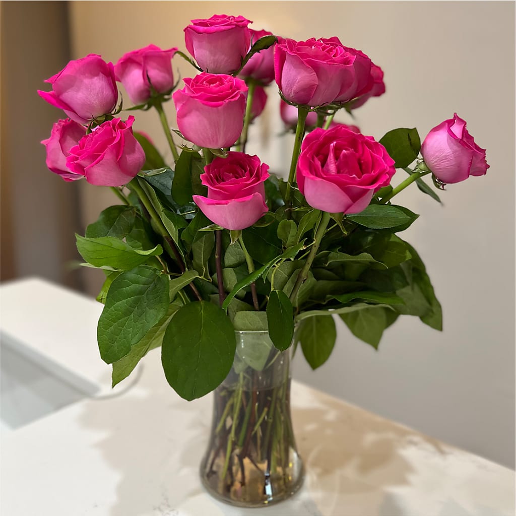 Long Stem Pink Rose Bouquet –  All Of The Good Flowers, Jackson NJ