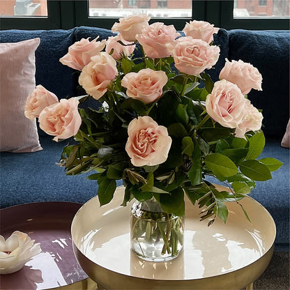 Long Stem Pink Rose Bouquet –  All Of The Good Flowers, Jackson NJ