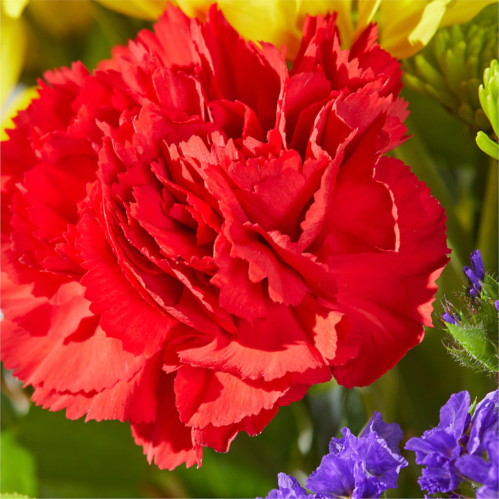Brighter Days Bouquet –  All Of The Good Flowers, Jackson NJ