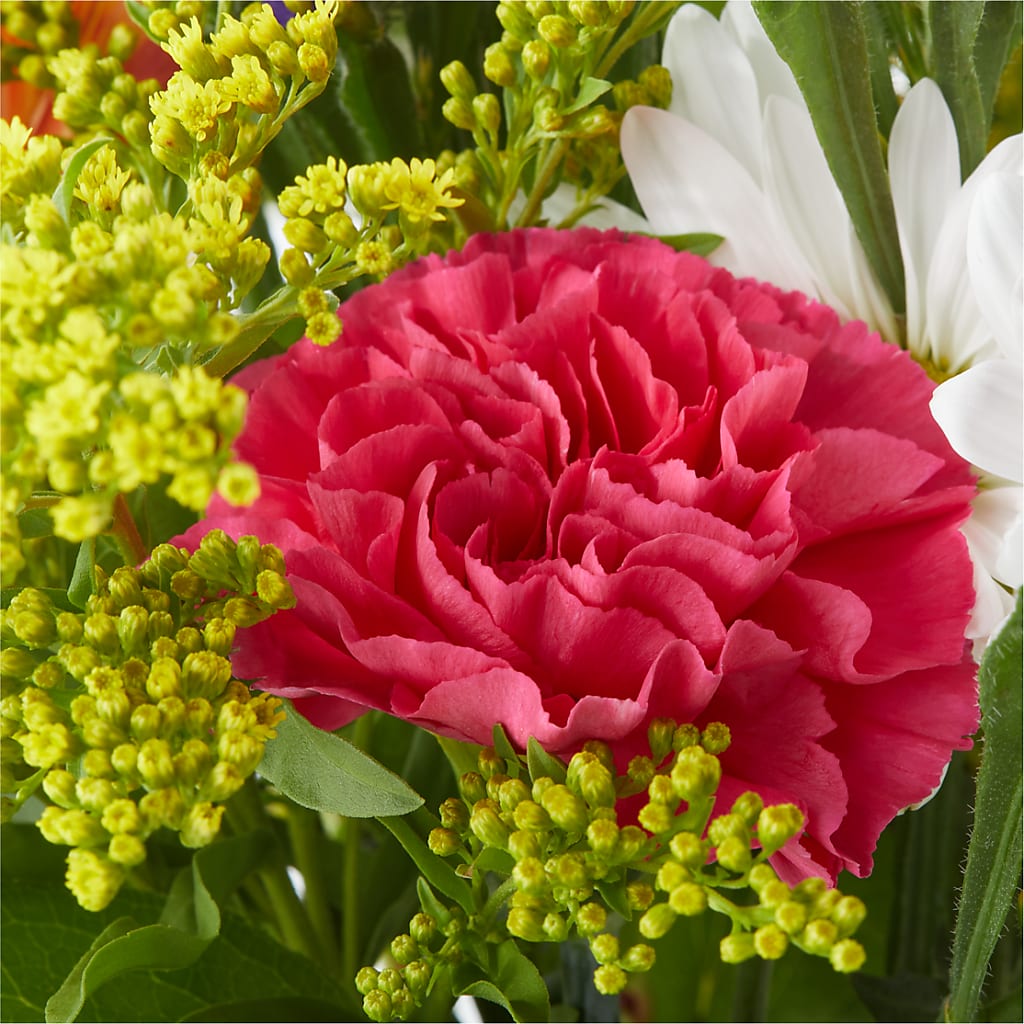 Oopsie Daisy Bouquet –  All Of The Good Flowers, Jackson NJ