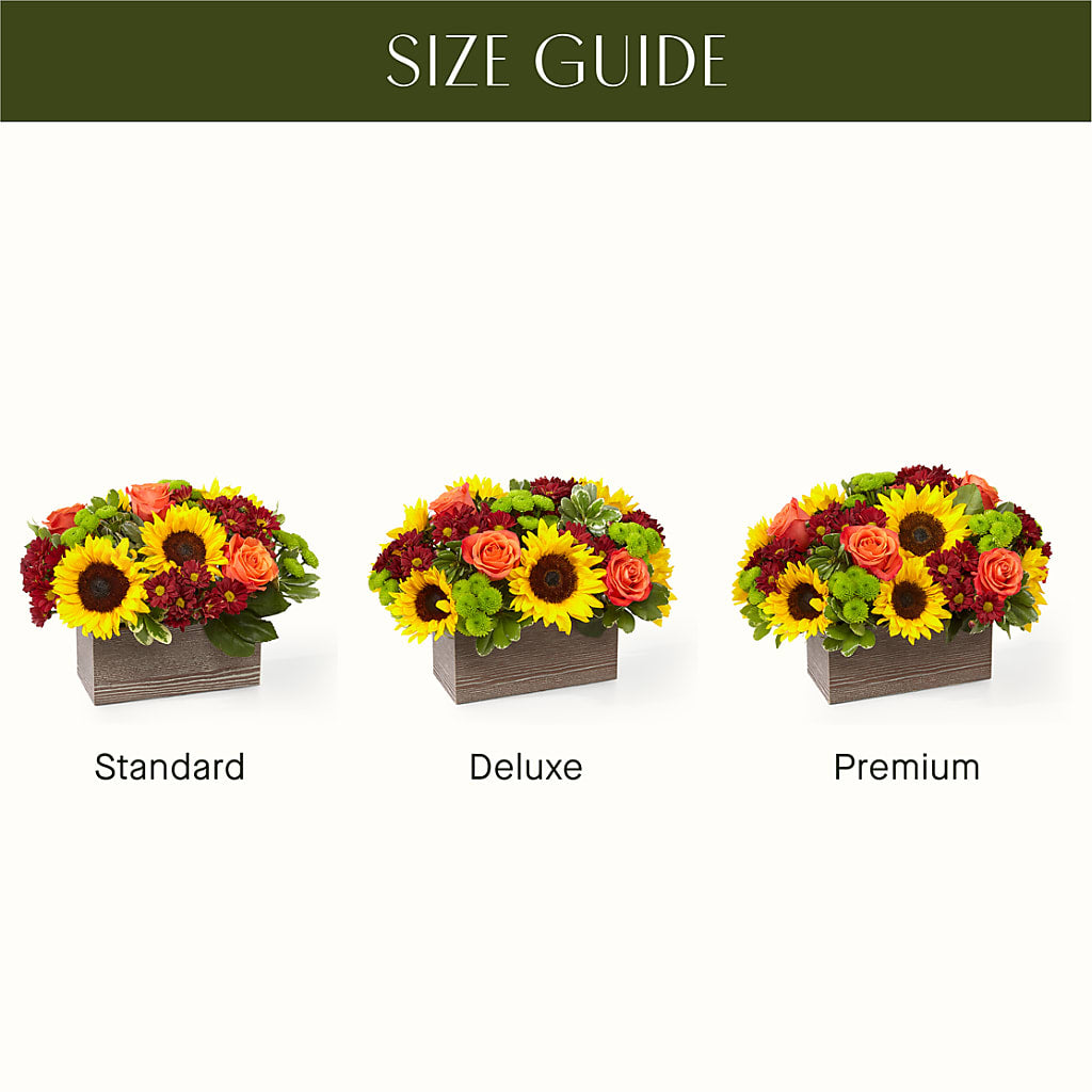 Happy Harvest Garden –  All Of The Good Flowers, Jackson NJ