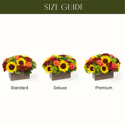 Happy Harvest Garden –  All Of The Good Flowers, Jackson NJ