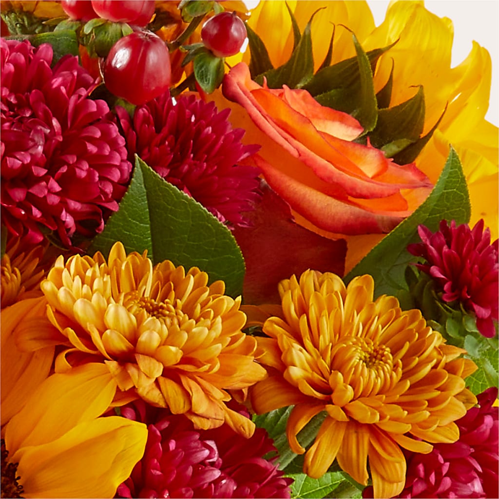 Sweater Season - A Florist Original –  All Of The Good Flowers, Jackson NJ