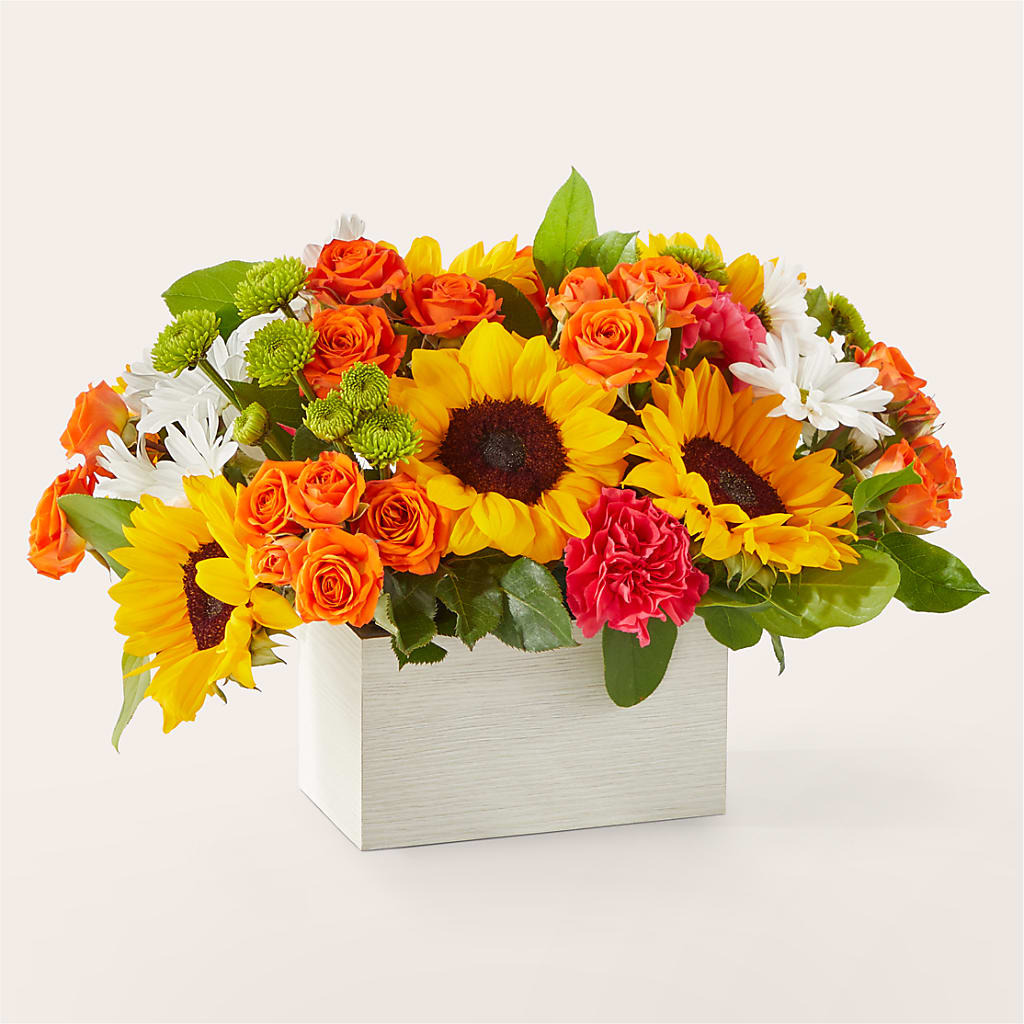 Sun-drenched Blooms Box Bouquet –  All Of The Good Flowers, Jackson NJ