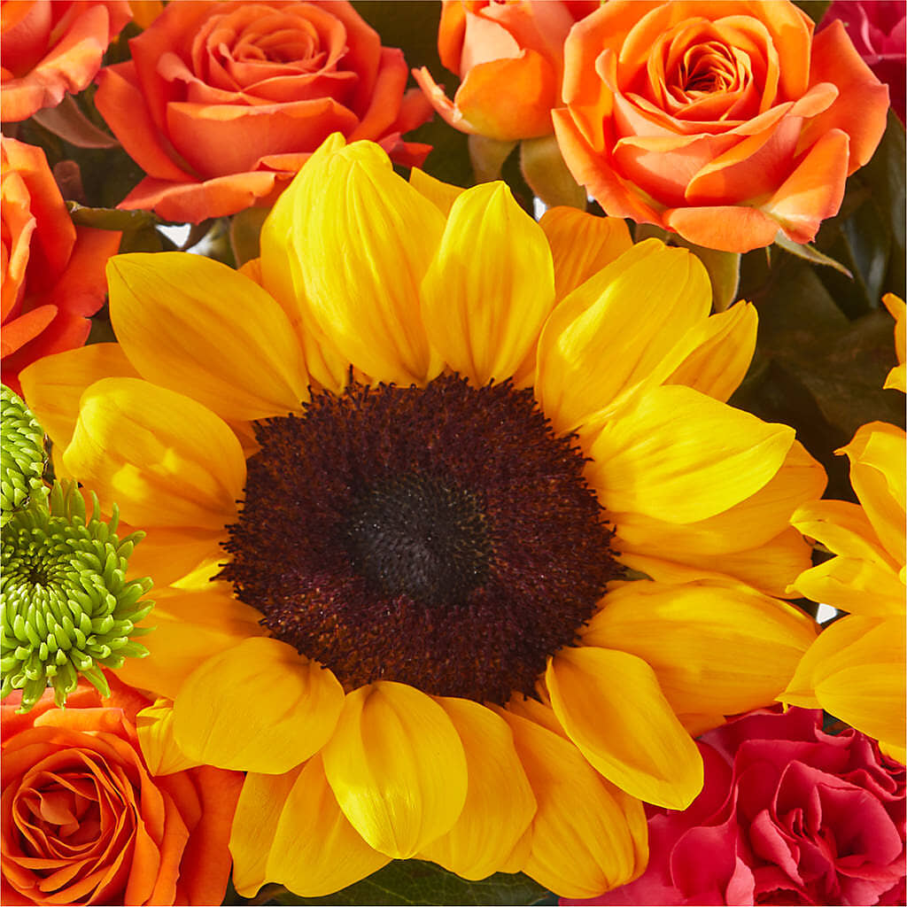 Sun-drenched Blooms Box Bouquet –  All Of The Good Flowers, Jackson NJ
