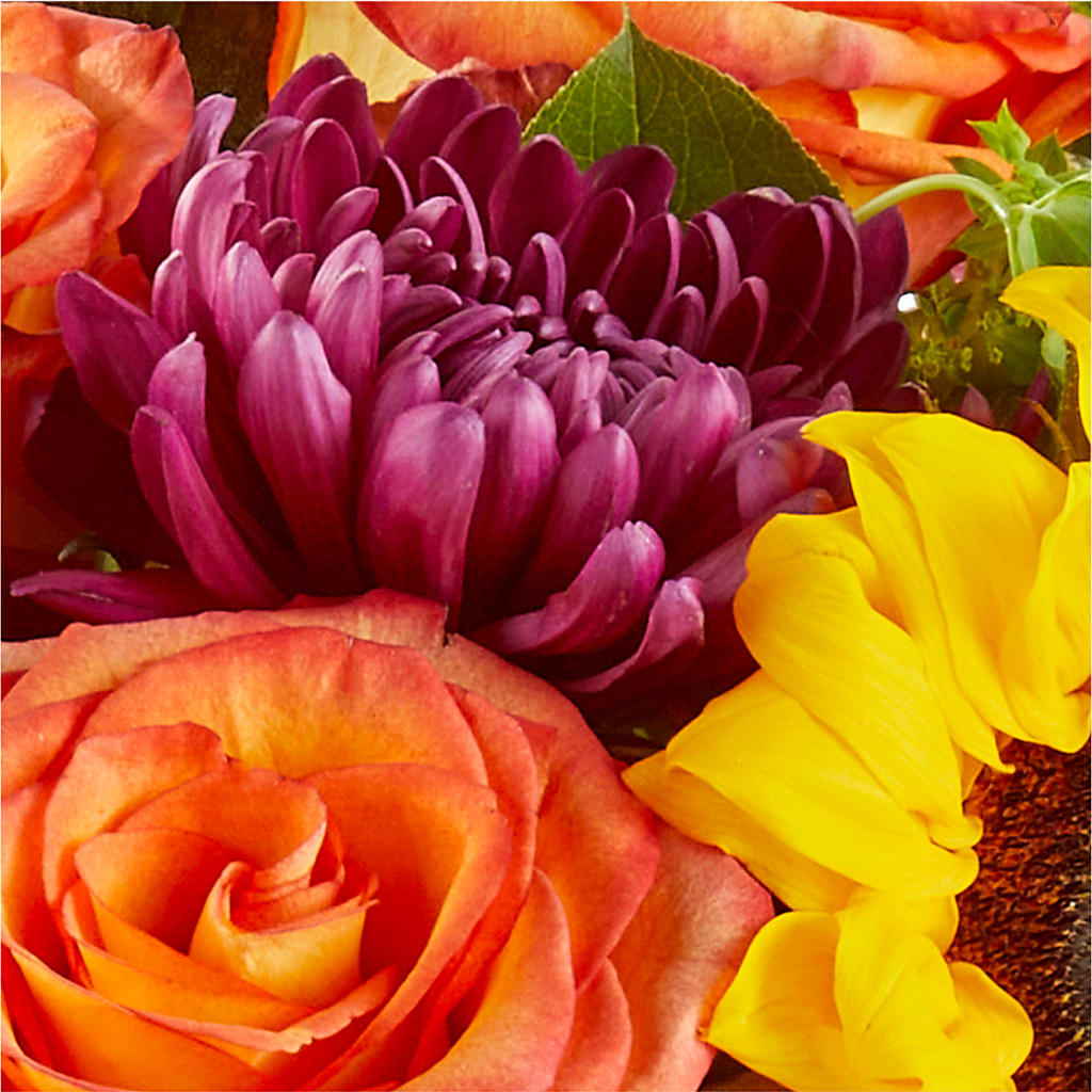 Nature Walk Bouquet –  All Of The Good Flowers, Jackson NJ