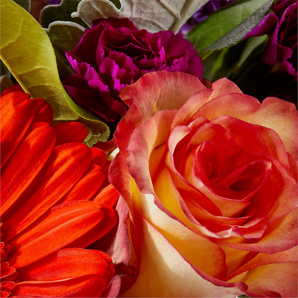 Sangria Bouquet –  All Of The Good Flowers, Jackson NJ