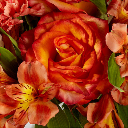 Apricot Glow Bouquet –  All Of The Good Flowers, Jackson NJ