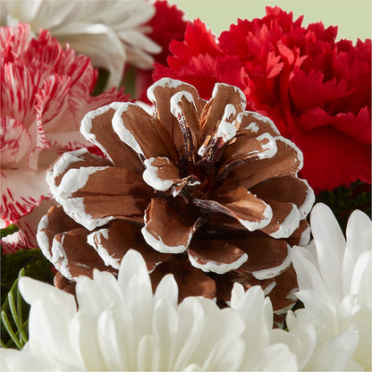 Candy Cane Lane Bouquet –  All Of The Good Flowers, Jackson NJ