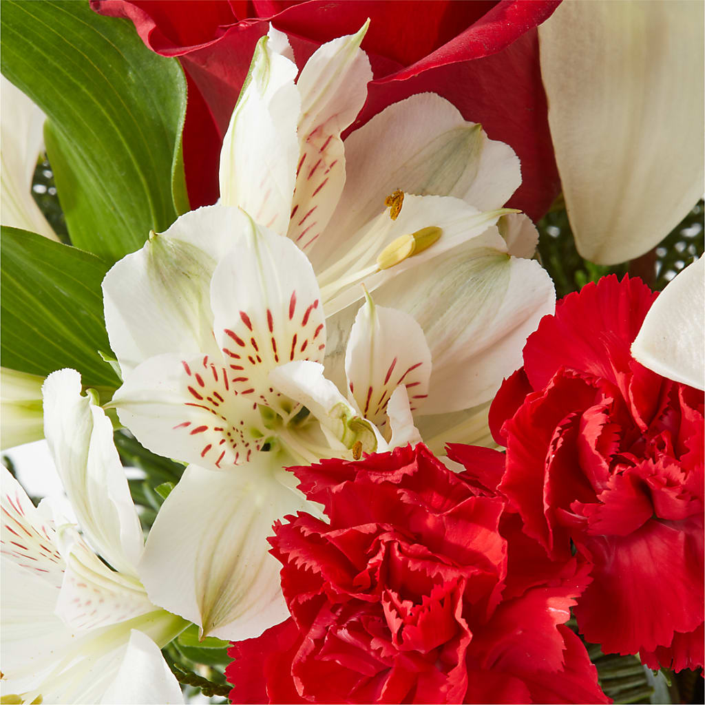 Holiday Season Bouquet –  All Of The Good Flowers, Jackson NJ