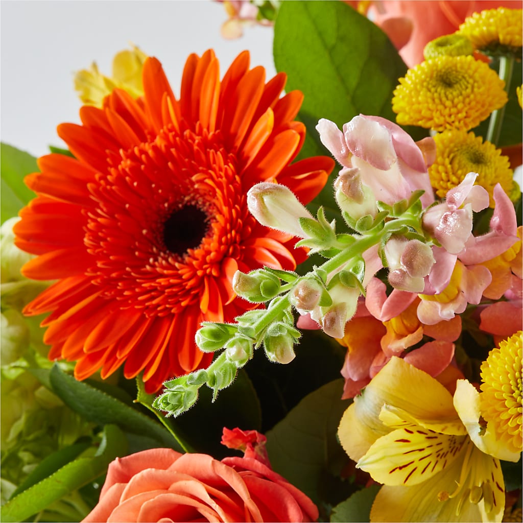 Autumn Sunshine Bouquet –  All Of The Good Flowers, Jackson NJ