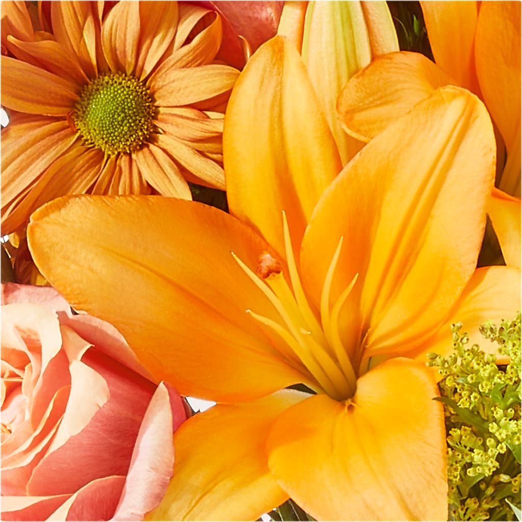 Harvest Hayride Bouquet –  All Of The Good Flowers, Jackson NJ