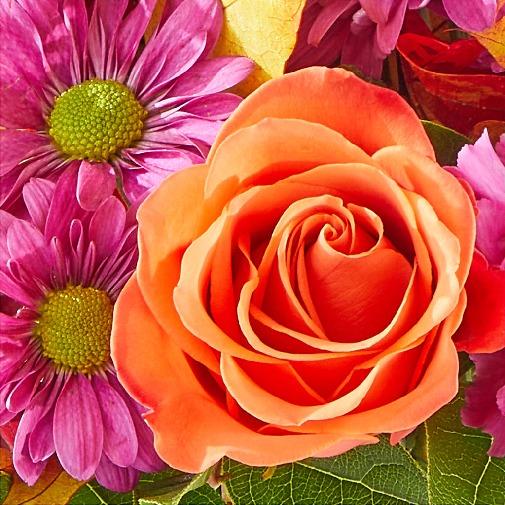 Mum's the Word Bouquet –  All Of The Good Flowers, Jackson NJ