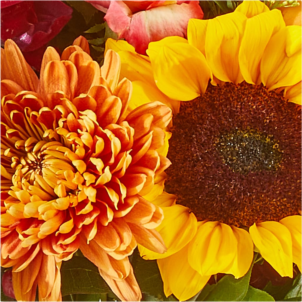 Seasons Change Bouquet –  All Of The Good Flowers, Jackson NJ