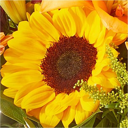 Seasons Change Bouquet –  All Of The Good Flowers, Jackson NJ