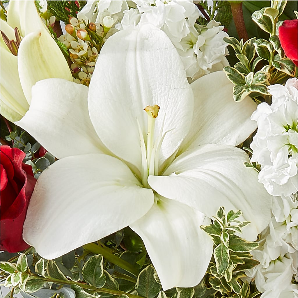 Twinkle Lights Bouquet –  All Of The Good Flowers, Jackson NJ