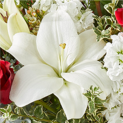 Twinkle Lights Bouquet –  All Of The Good Flowers, Jackson NJ