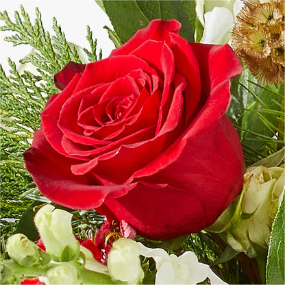 Deck the Halls Bouquet –  All Of The Good Flowers, Jackson NJ