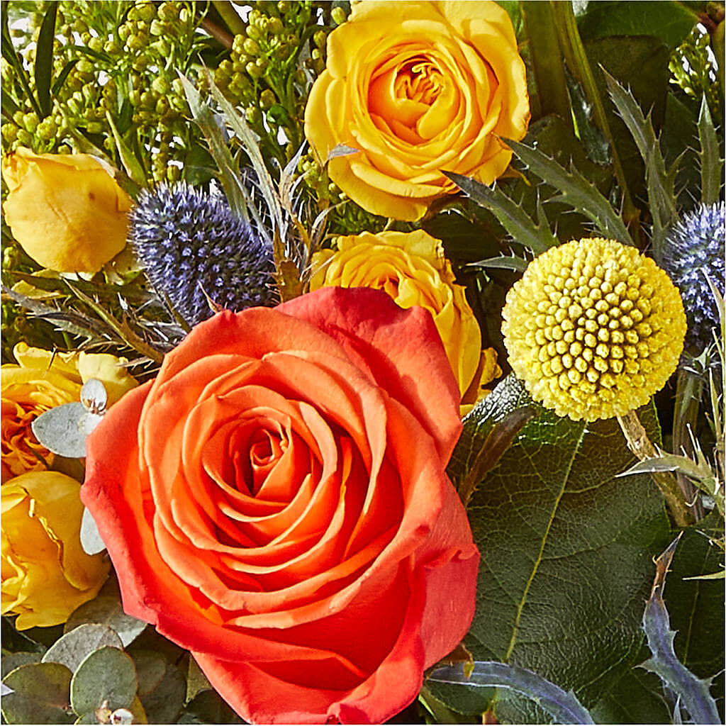 Disco Bouquet –  All Of The Good Flowers, Jackson NJ