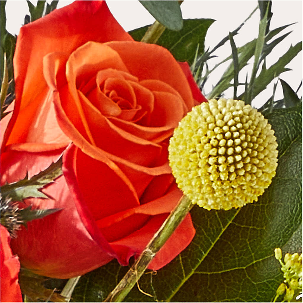 Disco Bouquet –  All Of The Good Flowers, Jackson NJ