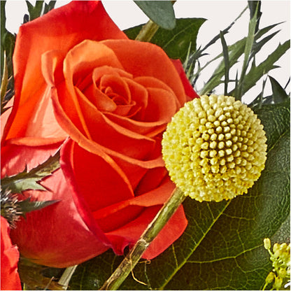 Disco Bouquet –  All Of The Good Flowers, Jackson NJ