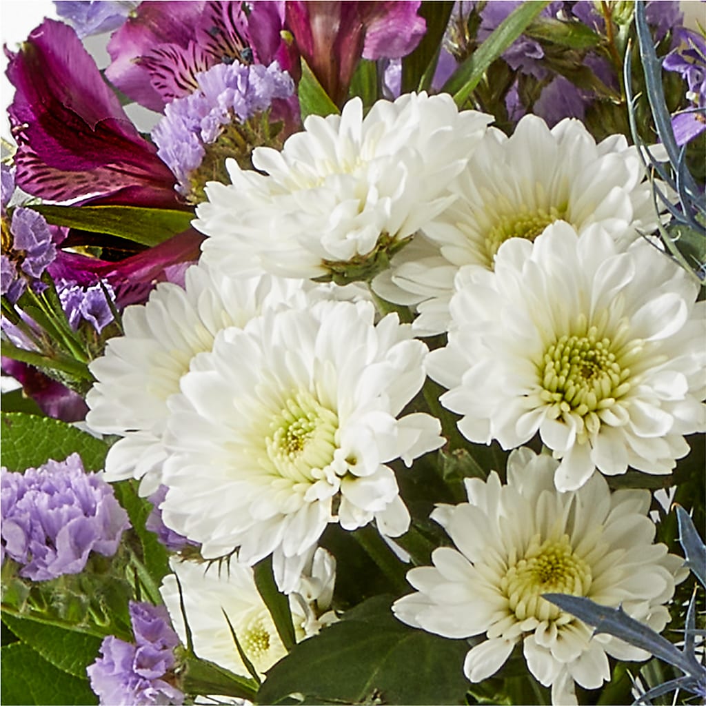Shooting Star Bouquet –  All Of The Good Flowers, Jackson NJ