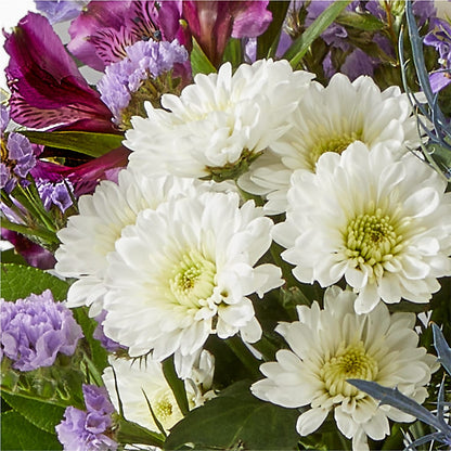 Shooting Star Bouquet –  All Of The Good Flowers, Jackson NJ