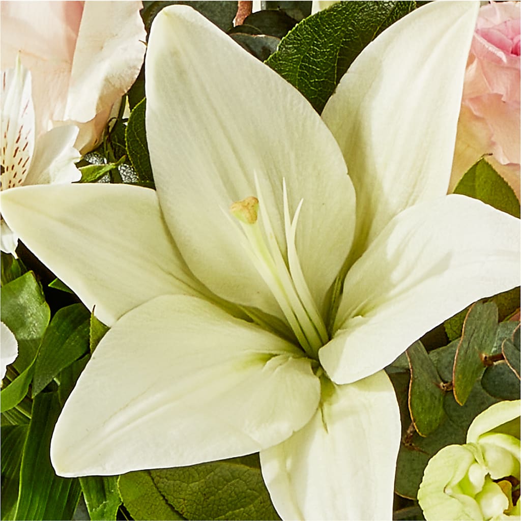 Ballet Slippers Bouquet –  All Of The Good Flowers, Jackson NJ