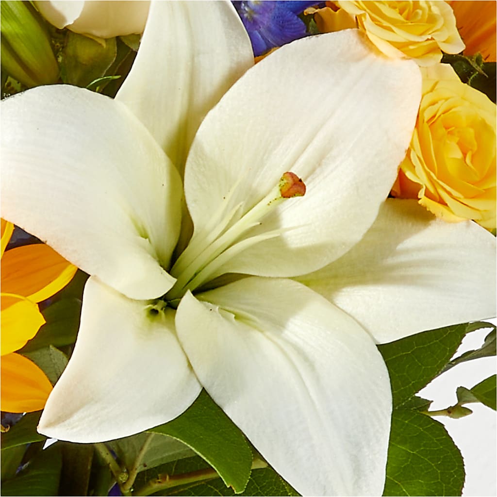Wonderfully Sunny Bouquet –  All Of The Good Flowers, Jackson NJ