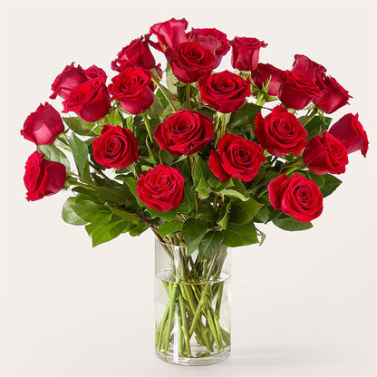 The One Red Rose Bouquet –  All Of The Good Flowers, Jackson NJ